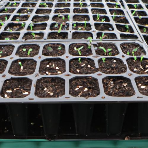 Broccoli Tomato Tobacco Greenhouse Seedling Planting plant hydroponic Seed Raising Tray 128 Cell Holes Black Plastic