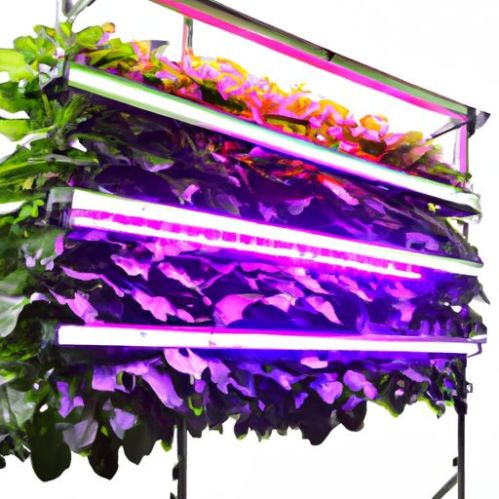 Hydroponics Full Spectrum Growing Light Greenhouse stage effect light Wholesale Price DE MH2000w 1000w 600w