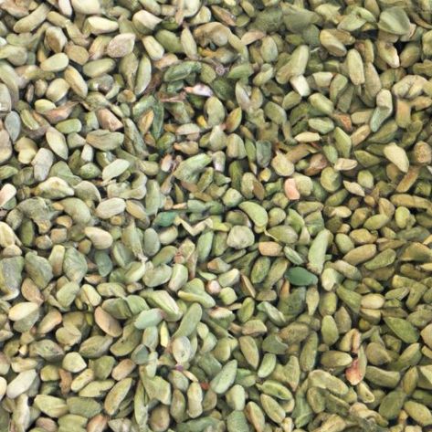 Natural Organic cardamom dried style bulk wholesale spice for flavor vegetables organic Vietnamese Pure natural single 100%