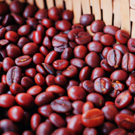 おいしいベトナムのベストセラーハニーコーヒー専門工場が焙煎したオリジナルのロブスタコーヒー豆と濃縮コーヒー豆を100％購入した直接サプライヤー