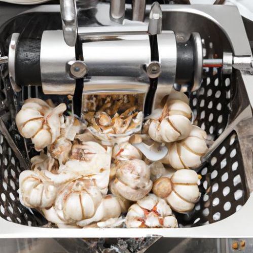 Peeling Machine Garlic Peeling capacity high Equipment High Efficiency Industrial Garlic Washing And