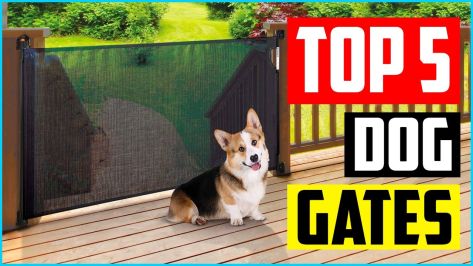 Pet Enclosure Wholesale Small new design Animals Dogs Metal Breathable Sport Outdoor Button Foldable Dog Fence Pet Playpen Solid Classics