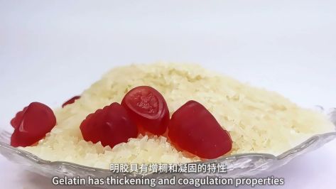 is gelatin still made from animals